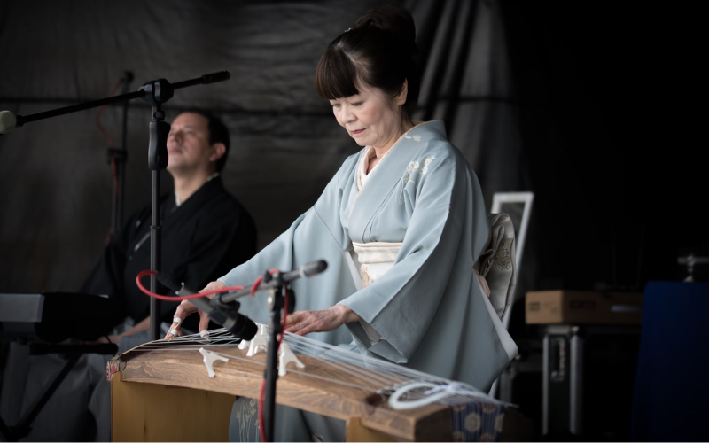 Asian String Instruments