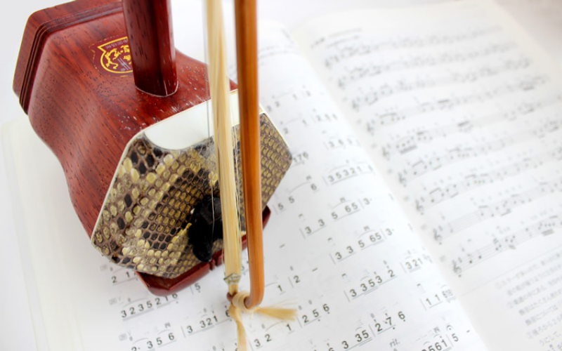 Chinese Erhu