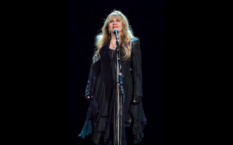 Stevie Nicks